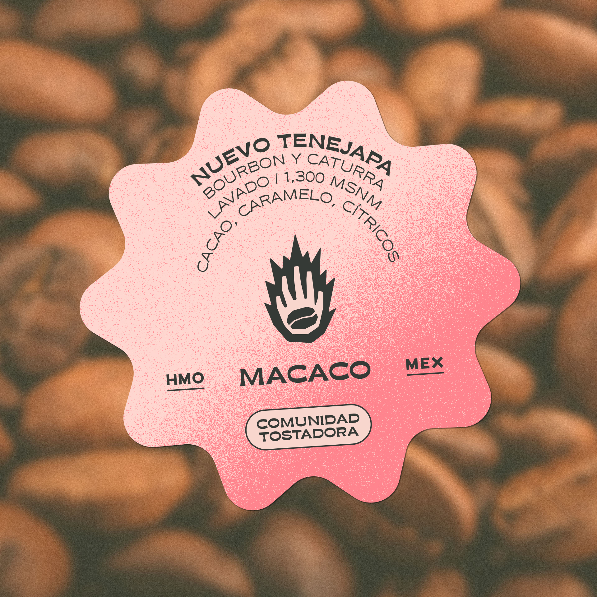 Nuevo Tenejapa